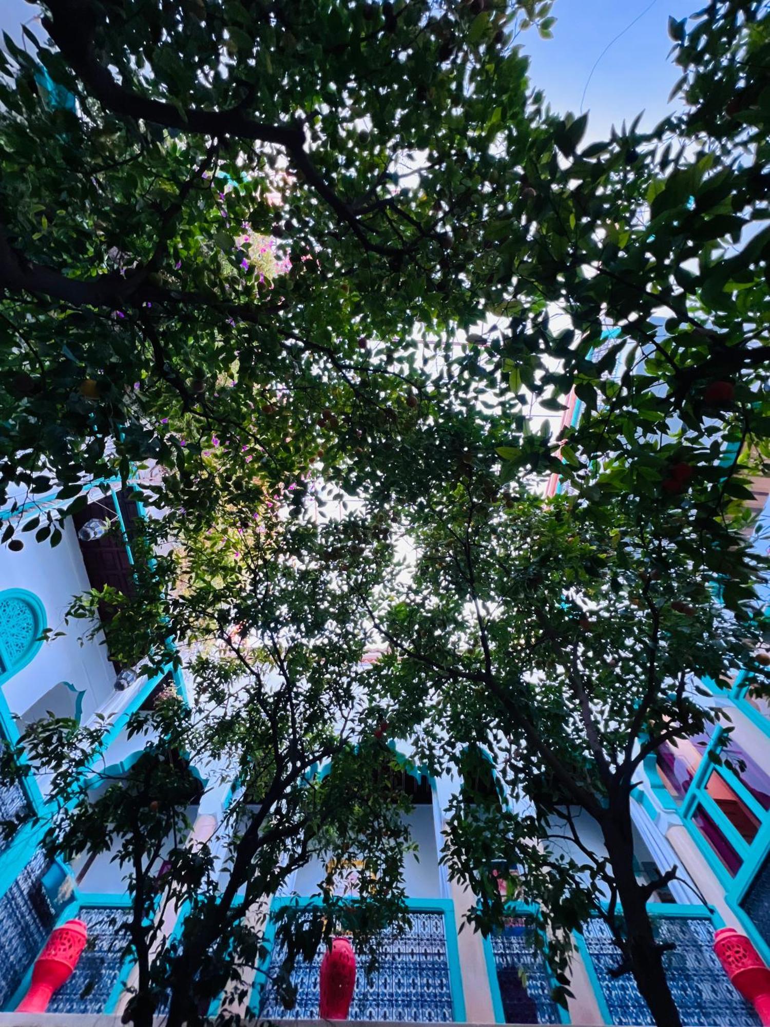 Riad Al Nour Marrakesz Zewnętrze zdjęcie